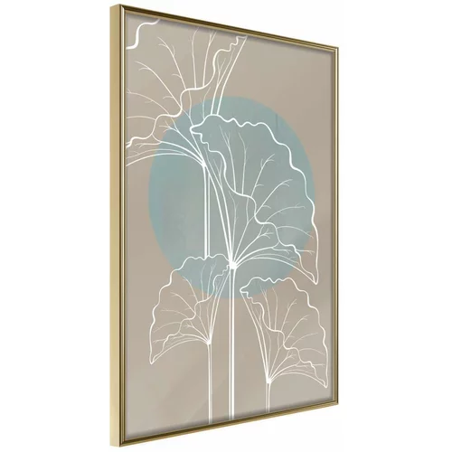  Poster - Miraculous Plant 40x60
