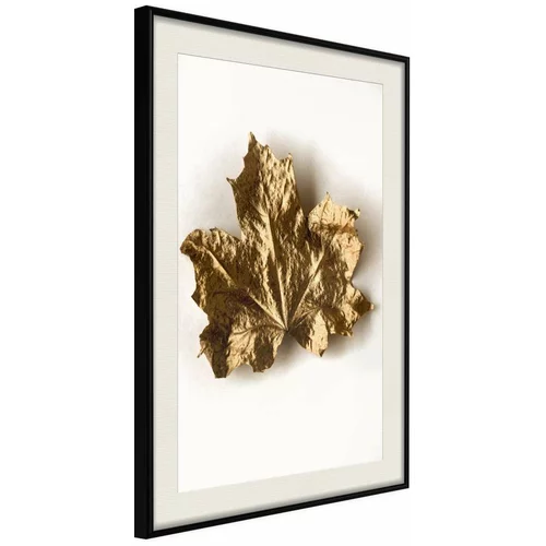  Poster - Dried Maple Leaf 30x45