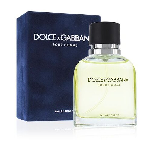 Dolce&gabbana Light Blue Pour Homme toaletna voda 125 ml Tester za muškarce Cene