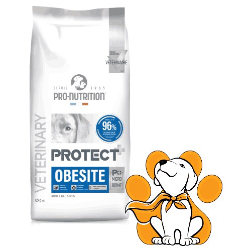 Pro Nutrition Protect Obesite 12kg, Niskokalorična Hrana Za Pse Cene