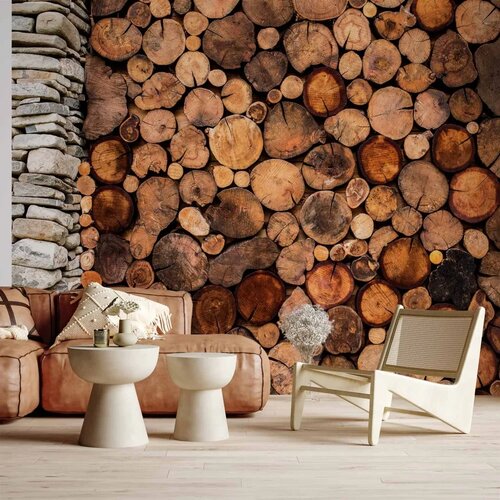  Foto tapeta - Wooden Gate 250x175 Standard Cene