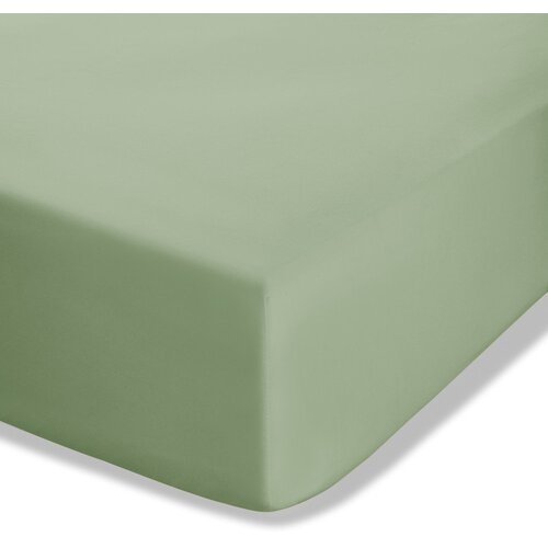 Catherine Lansfield Zelena plahta s gumom od perkala 150x200 cm Easy Iron Percale – Cijene