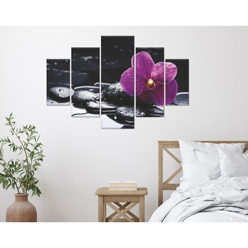 Wallity Set Slika ST029, 5 Delova Cene