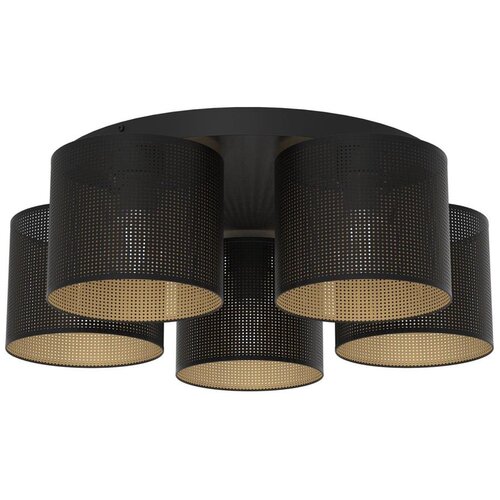  Plafonski luster LOFT SHADE 5xE27/60W/230V crna/zlatna Cene