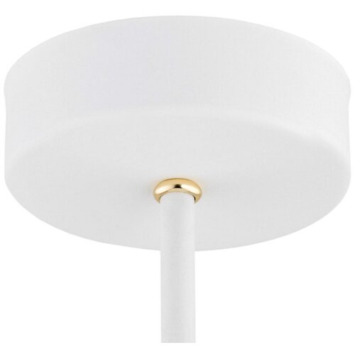  Argon 6148 - Luster na &amp;scaron;ipci CHARLOTTE 3xE27/15W/230V bela/zlatna Slike