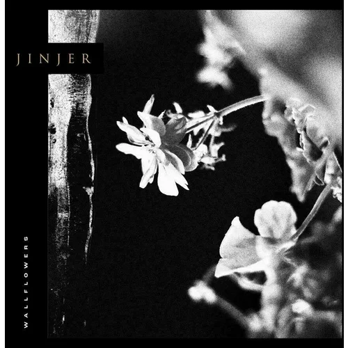 Jinjer Wallflowers (Limited Edition) (LP)