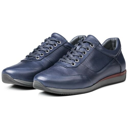 Ducavelli Lion Point Men's Casual Shoes From Genuine Leather With Plush Shearling, Navy Blue. Slike
