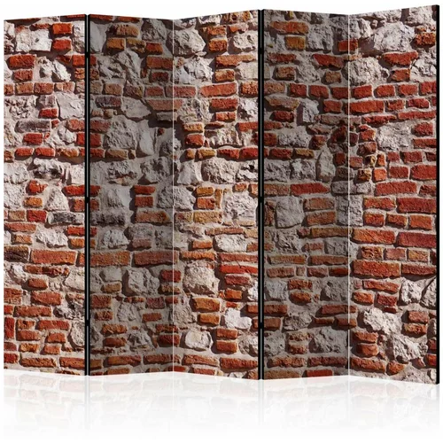  Paravan u 5 dijelova - Bricky Age II [Room Dividers] 225x172
