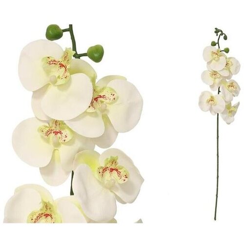  ORHIDEJA -76 CM REAL TOUCH Cene