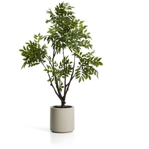 Kave Home Umetna rastlina (vi&amp;scaron;ina 185 cm) Rhus &amp;ndash; Slike