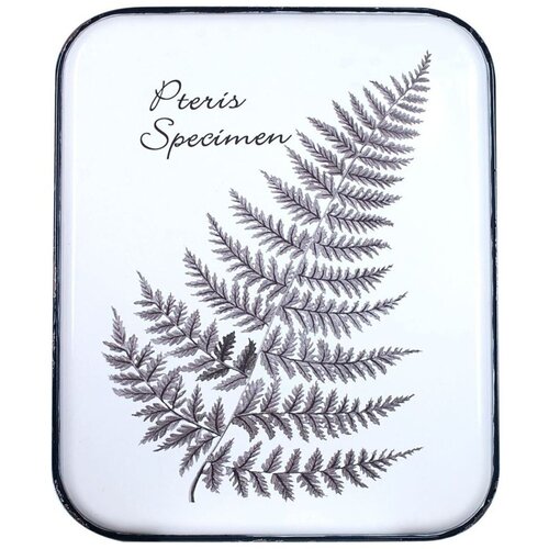 Signes Grimalt Kipci in figurice Ornament Z Listnimi Stenami Bela Slike
