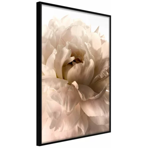 Poster - Bloom 30x45