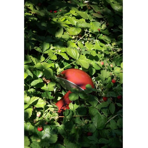 H&amp;uuml;bsch Rdeča LED zatemnitvena namizna svetilka (vi&amp;scaron;ina 20 cm) Mush &amp;ndash; Slike