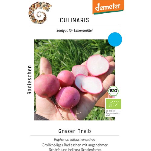 Culinaris Bio redkvica "Grazer Treib" - 3,50 g Cene