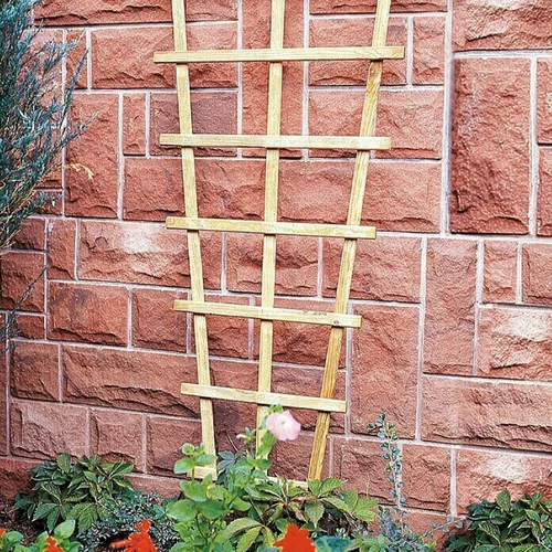 x rešetkasta ograda za biljke penjačice trapez (bez okvira, š v: 60 150 cm, bor)