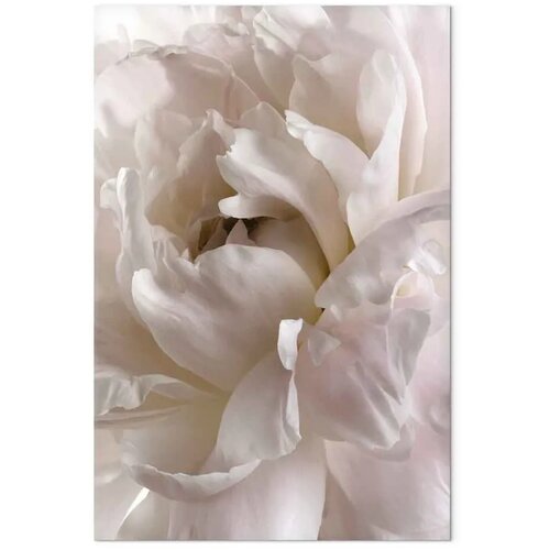  Slika - Fluffy Distraction (1 Part) Vertical 60x90 Slike