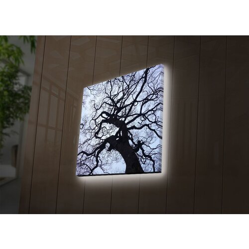 Wallity Slika sa LED osvetljenjem 2828DACT-56, 28x28 cm Cene