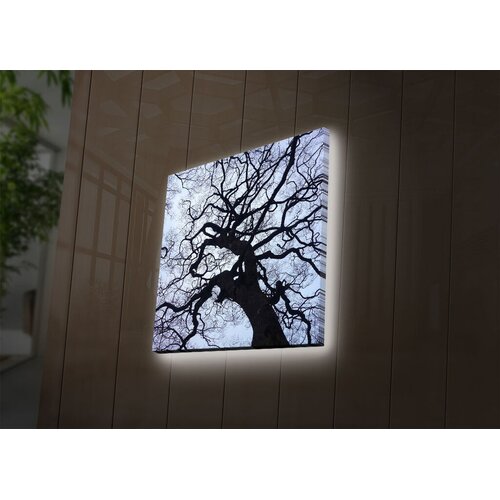 Wallity Zidna slika sa LED osvetljenjem 2828DACT-56, 28x28 cm Cene