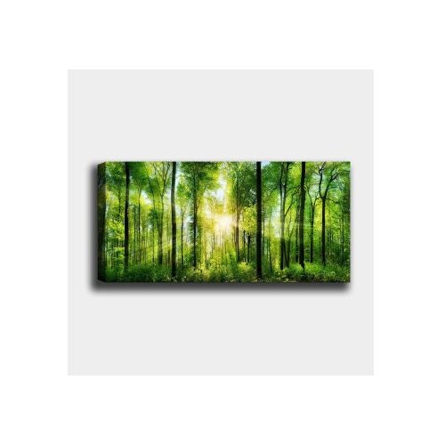 WALLXPERT dekorativna slika YTY276530603_50120 Cene