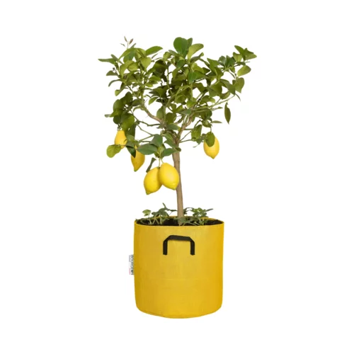 Bourgeon Vreča za rastline iz geotekstila ∅ 30 cm - rumena