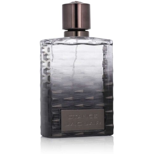 Jaguar za mu&amp;scaron;karce Jaguar EDT Stance 100 ml Slike