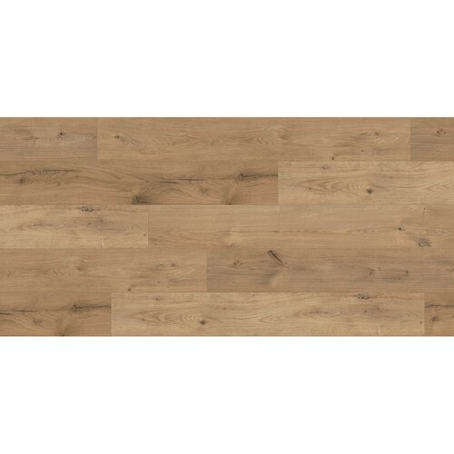 Kaindl laminat masterfloor standard oak beachlin 8 mm K2143 av V4 32 Cene