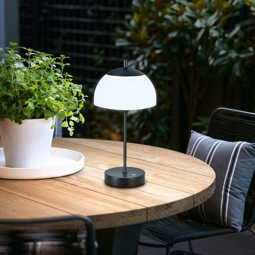 Fischer & Honsel LED namizna svetilka (višina 35 cm) Riva – Cene