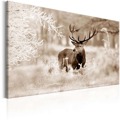  Slika - Deer in Sepia 120x80 Slike