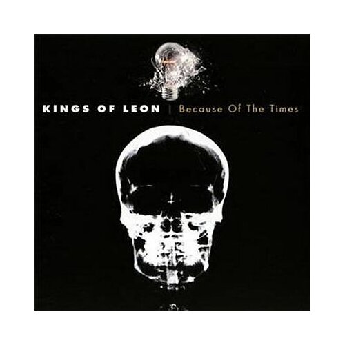 Kings of Leon Because Of The Times Cene