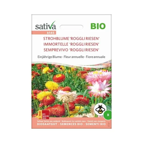 Sativa Bio enoletna roža "Helichrysum 'Roggli Riesen'"