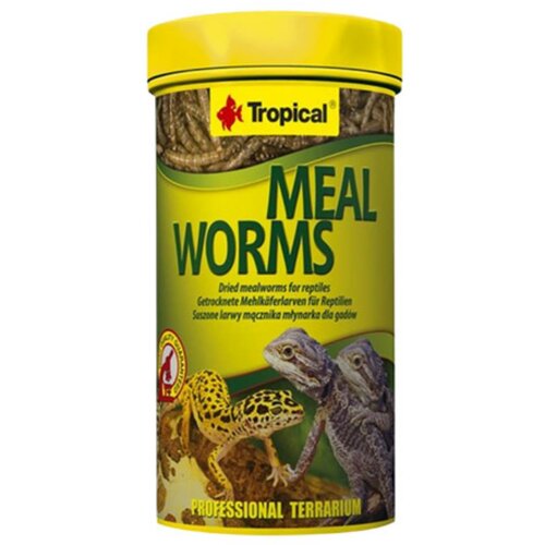 Tropical meal worms osušeni brasneni crvići hrana za reptile i ribe 250ml - 30g Cene