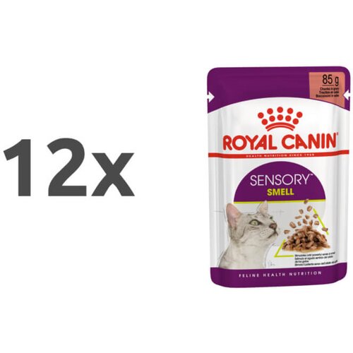Royal_Canin sensory smell - omaka 12 x 85 g Cene