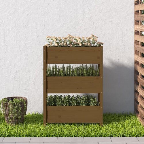  Sadilica smeđa boja meda 77 x 25 x 104,5 cm od masivne borovine Slike