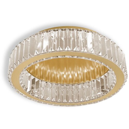 Toolight Luster APP1720-C 40cm Brush Gold Slike