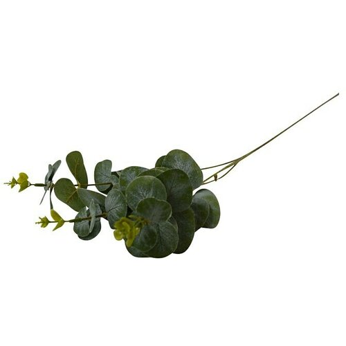  Okrasna vejica evkaliptusa (višina: 64 cm, umetna masa) Cene
