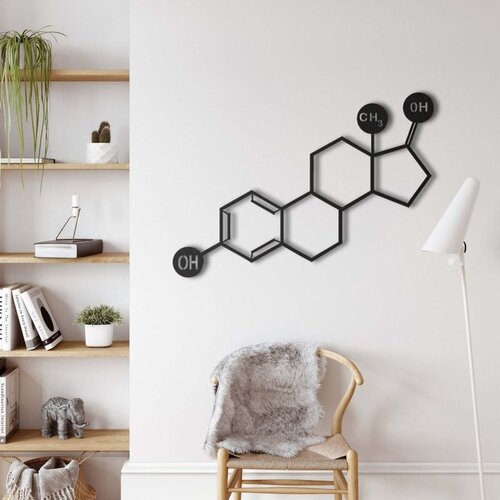 Wallxpert metalni zidni ukras 5357, strukturna formula molekula estrogena, 75 x 53 cm, crni Cene