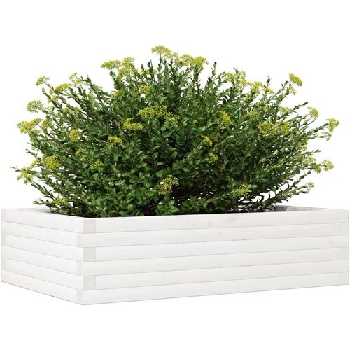  Vrtna sadilica bijela 90 x 60 x 23 cm od masivne borovine Slike