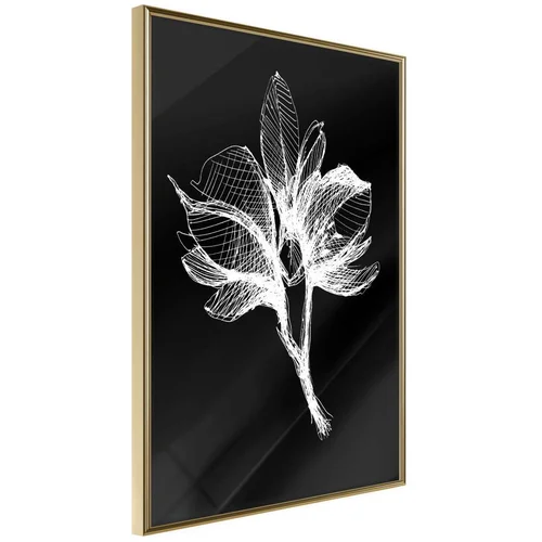  Poster - White Plant 40x60