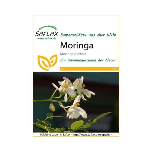 Saflax Moringa Cene