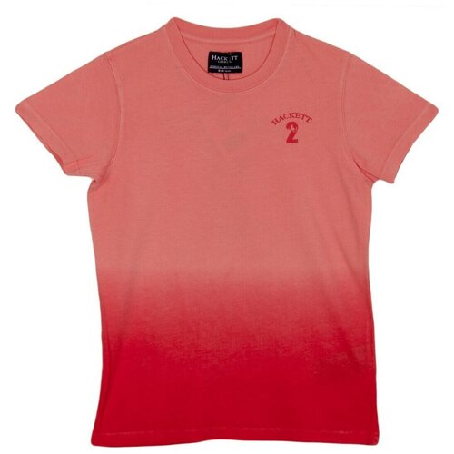 Hackett Majice s kratkimi rokavi HK500146-135 Rdeča Cene