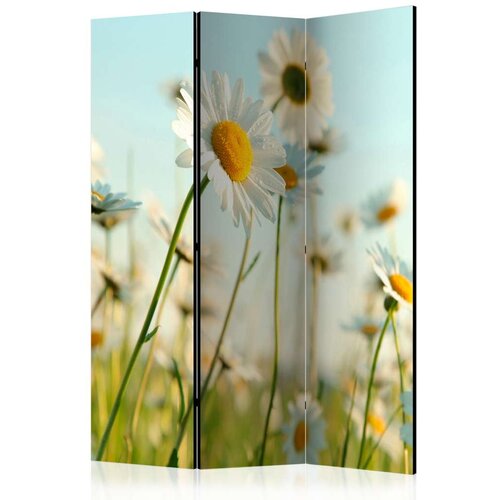  Paravan u 3 dijela - Daisies - spring meadow [Room Dividers] 135x172 Slike