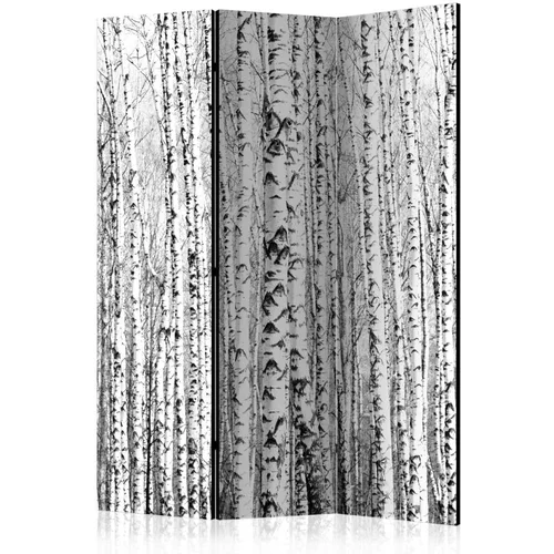  Paravan u 3 dijela - Birch forest [Room Dividers] 135x172