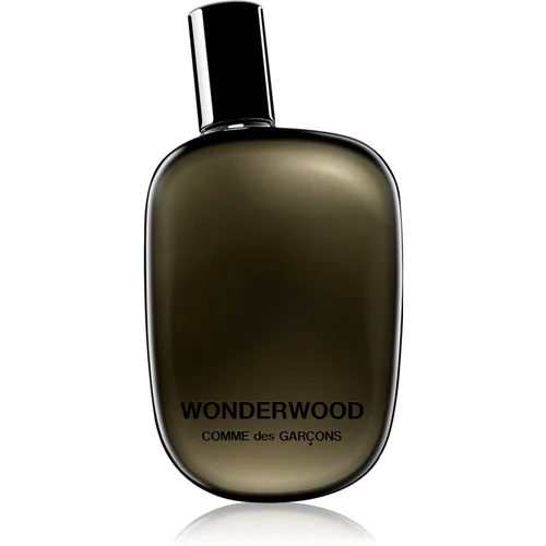 Comme des Garçons Wonderwood parfemska voda za muškarce 50 ml