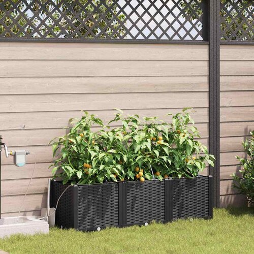  Vrtna saksija 3 pcs Crna 120 x 40 x 37,5 cm Plastika Cene