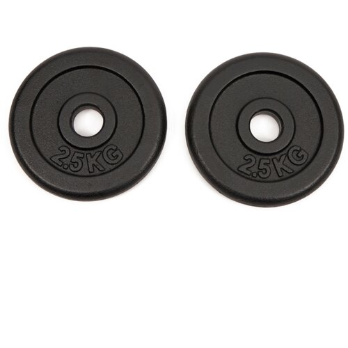 Worqout Weights 2.5Kg Iron Weight Plates x 2 pc - unisex Cijene