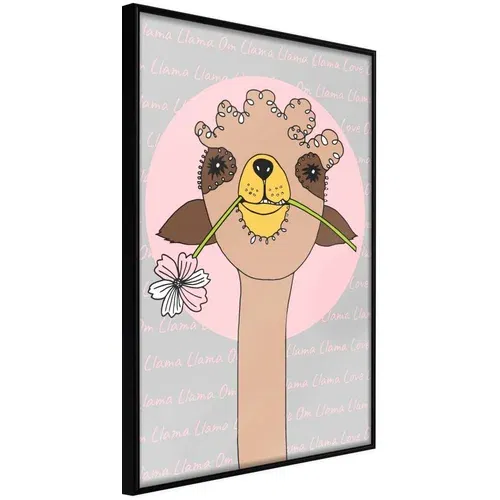 Poster - Cute Llama 20x30
