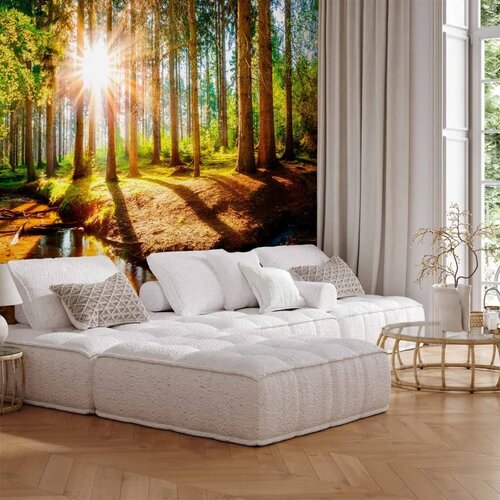  Foto tapeta - Marvelous Forest 150x105 Standard Cene
