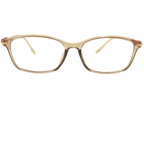 Berkeley naočare za kompjuter BB T5005 C4 55 Cene