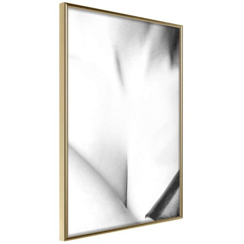  Poster - Charm 30x45 Slike