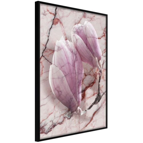  Poster - Magnolia on Marble Background 20x30 Cene